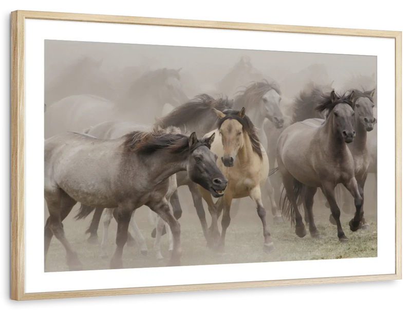 Wild Horse Stampede Wall Art