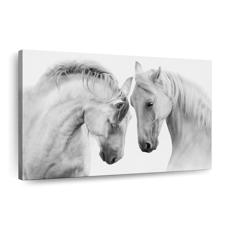 White Horse Couple Wall Art