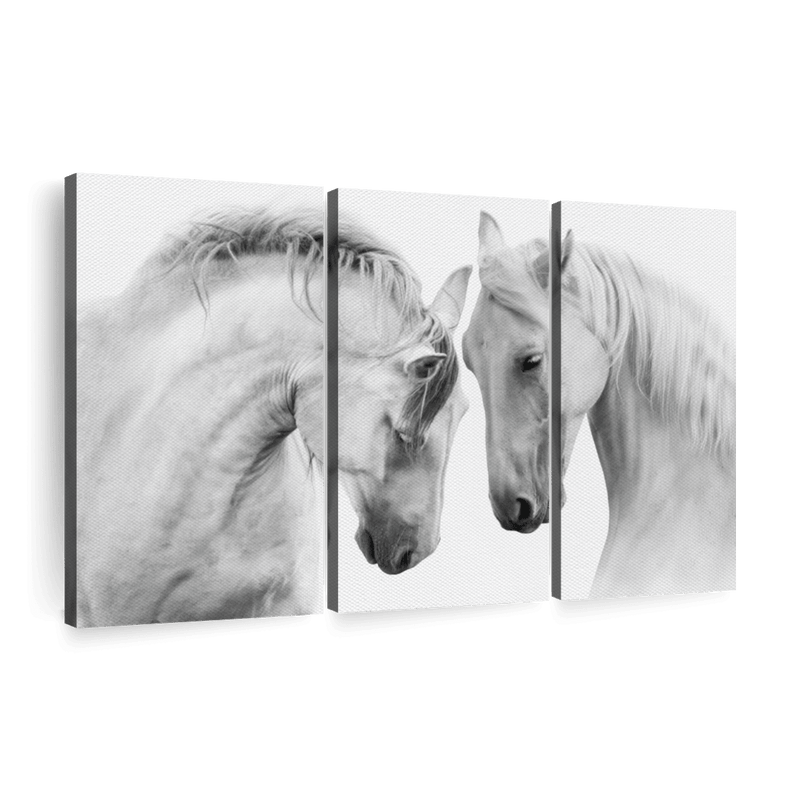 White Horse Couple Wall Art