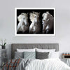 Three White Horses Wall Art
