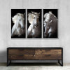 Three White Horses Wall Art