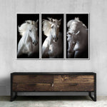 Three White Horses Wall Art