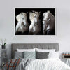 Three White Horses Wall Art