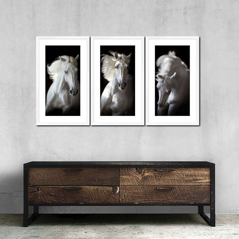 Three White Horses Wall Art