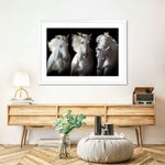 Three White Horses Wall Art