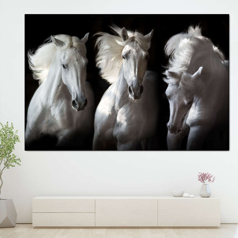Three White Horses Wall Art