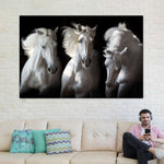 Three White Horses Wall Art