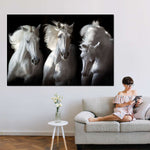 Three White Horses Wall Art