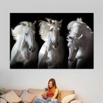 Three White Horses Wall Art