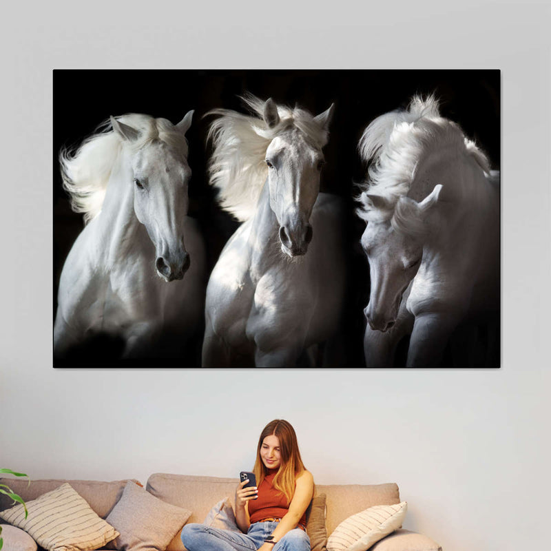 Three White Horses Wall Art