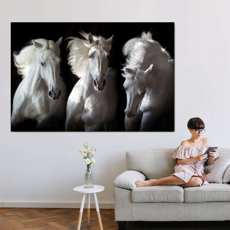 Three White Horses Wall Art