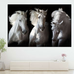 Three White Horses Wall Art