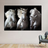 Three White Horses Wall Art