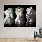 Three White Horses Wall Art