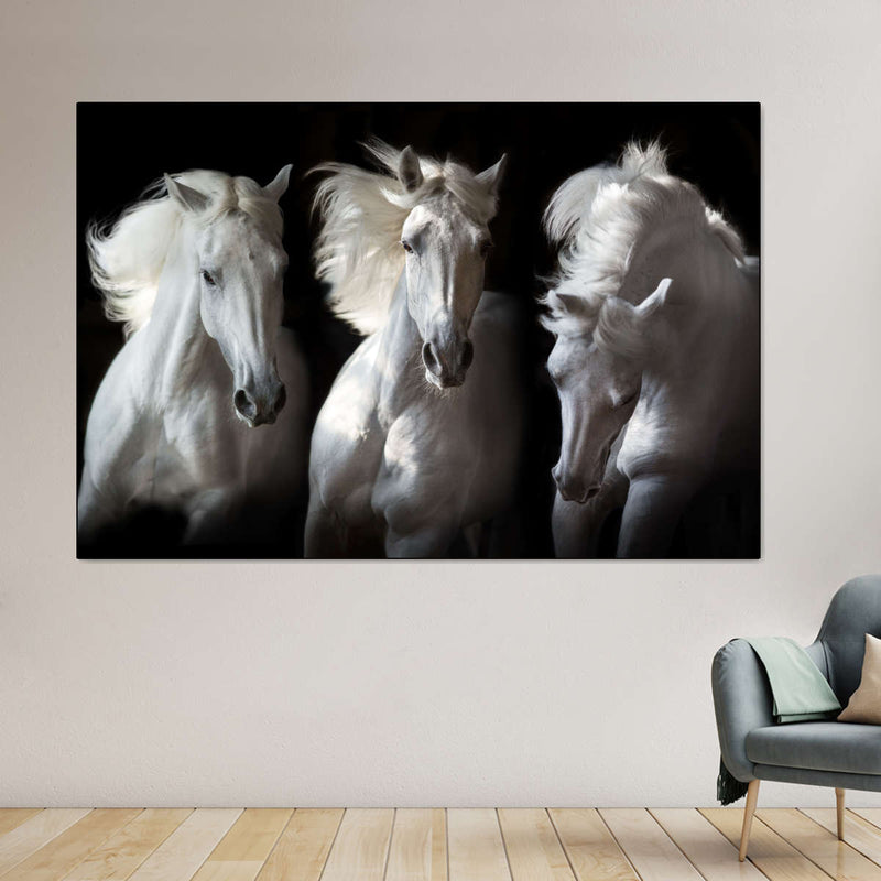 Three White Horses Wall Art