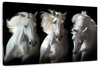 Three White Horses Wall Art
