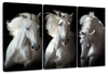 Three White Horses Wall Art