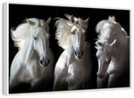 Three White Horses Wall Art
