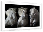Three White Horses Wall Art