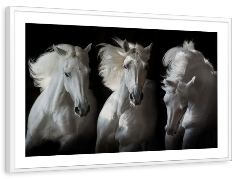 Three White Horses Wall Art