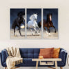 Wild Colorful Horses Wall Art