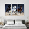 Wild Colorful Horses Wall Art