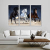 Wild Colorful Horses Wall Art
