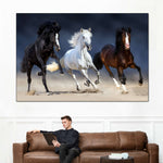 Wild Colorful Horses Wall Art