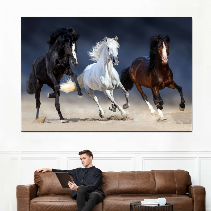 Wild Colorful Horses Wall Art