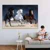 Wild Colorful Horses Wall Art
