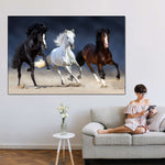 Wild Colorful Horses Wall Art