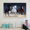 Wild Colorful Horses Wall Art