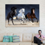 Wild Colorful Horses Wall Art