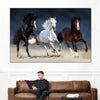 Wild Colorful Horses Wall Art