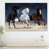 Wild Colorful Horses Wall Art