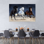 Wild Colorful Horses Wall Art
