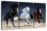 Wild Colorful Horses Wall Art