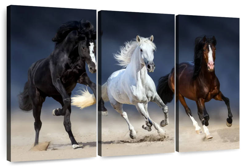 Wild Colorful Horses Wall Art