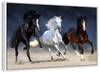 Wild Colorful Horses Wall Art