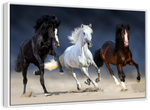 Wild Colorful Horses Wall Art