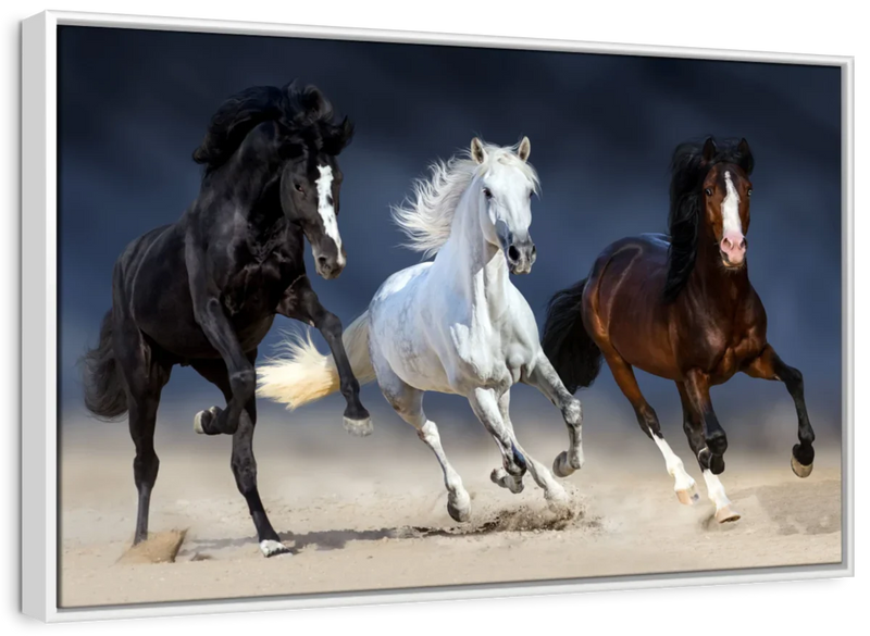 Wild Colorful Horses Wall Art