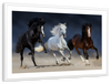 Wild Colorful Horses Wall Art