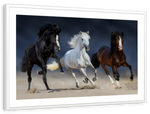 Wild Colorful Horses Wall Art
