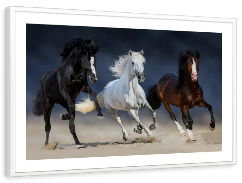 Wild Colorful Horses Wall Art