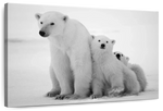 Polar Bear Family Wall Art