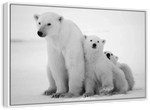 Polar Bear Family Wall Art