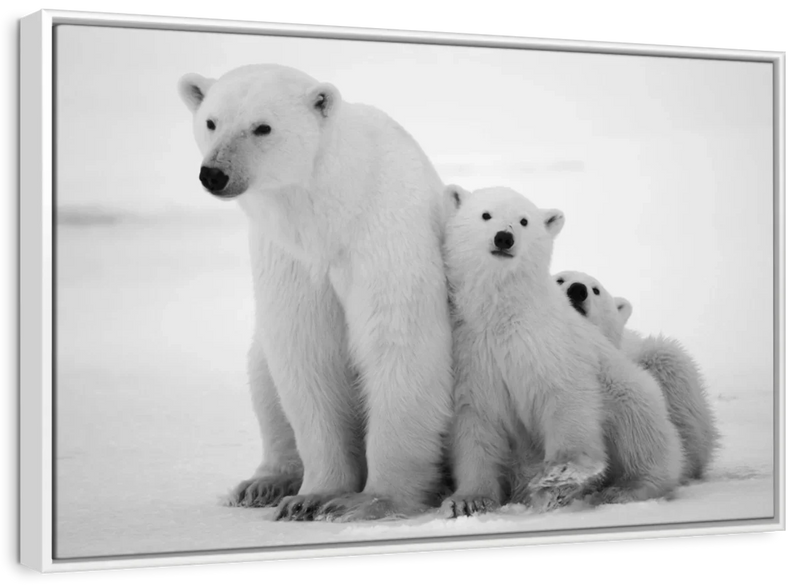 Polar Bear Family Wall Art