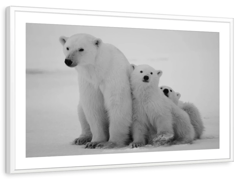 Polar Bear Family Wall Art