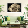 Retro Rose Wall Art