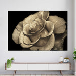 Retro Rose Wall Art